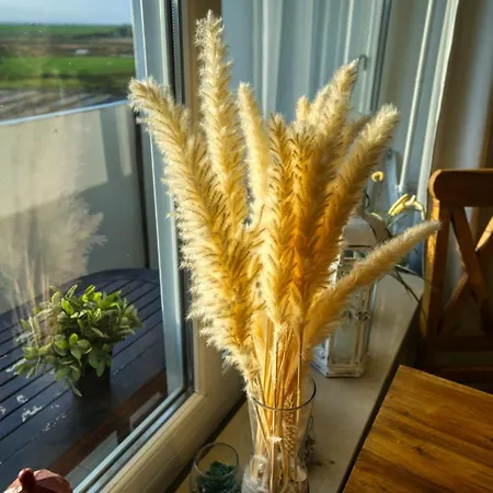 Appartement - Haus K, App 0k0706